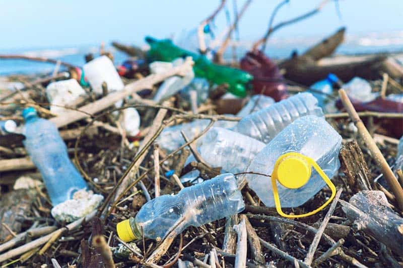 Nắp chai nhựa mất đến 100 - 500 năm mới có thể phân hủy