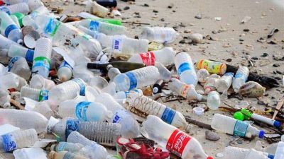 Rác thải chai nhựa đang ảnh hưởng như thế nào đến đời sống