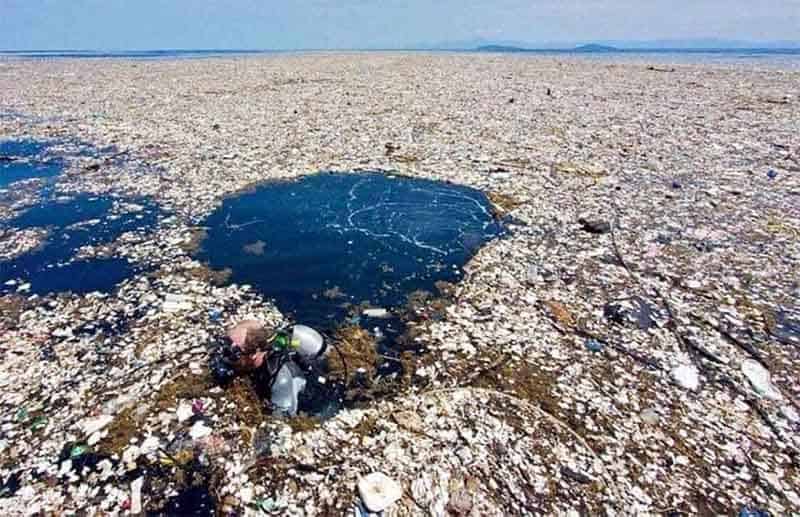 Rác thải nhựa gây ô nhiễm môi trường biển nghiêm trọng