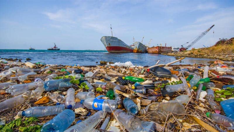 Theo Hiệp hội nhựa Việt Nam, trong khoảng thời gian 1900 – 2018, lượng tiêu thụ đồ nhựa đã tăng nhanh từ 3,8 kg/người lên 41,3kg/người. (Nguồn ảnh: Báo Tuổi trẻ)