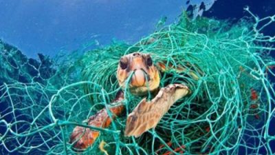 Lưới đánh cá bị bỏ đi đã gây ra cái chết của rất nhiều sinh vật biển. (Nguồn ảnh: Báo lao động)