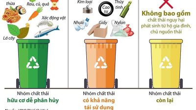Hướng dẫn phân loại rác thải ngay từ đầu nguồn
