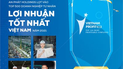 An Phát Holdings lọt vào top 500 doanh nghiệp có lợi nhuận tốt nhất Việt Nam